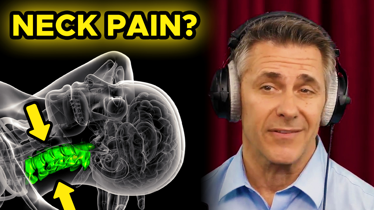 Cervical spine anatomy showing why proper neck support during sleep is critical